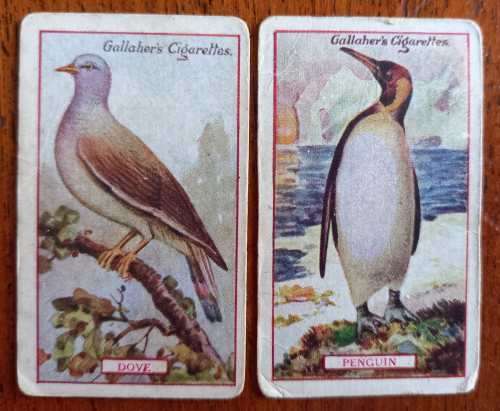 Lot of 20 Gallaher`s cigarette cards early 1900s
