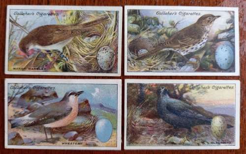 Lot of 20 Gallaher`s cigarette cards early 1900s