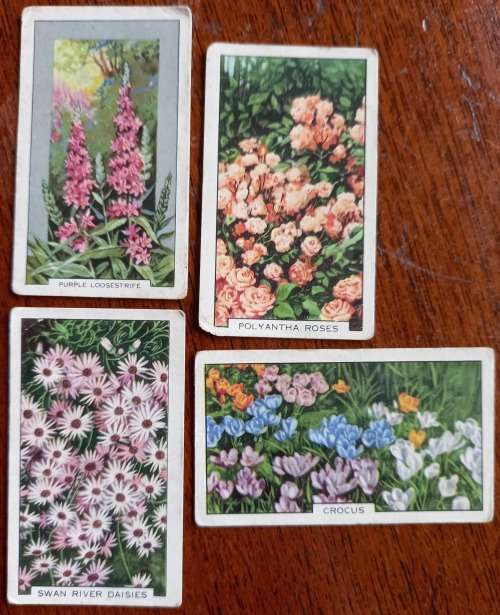 Lot of 20 Gallaher`s cigarette cards early 1900s