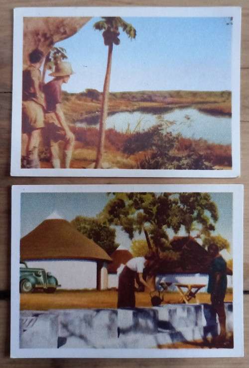 150+ Our SA National Parks cigarette cards 1941