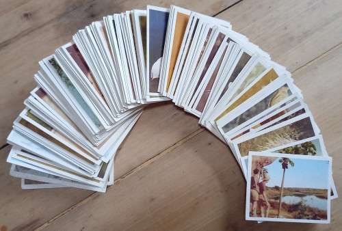 150+ Our SA National Parks cigarette cards 1941