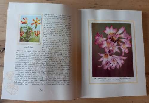 `Our SA Flora` book 1940 with complete set of 100 cigarette cards