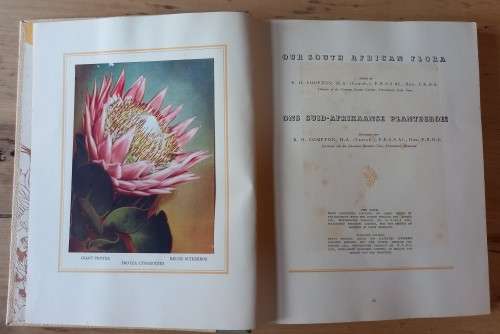 `Our SA Flora` book 1940 with complete set of 100 cigarette cards