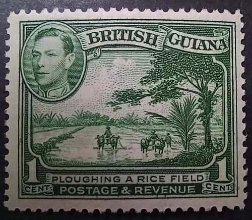 1938 British Guiana 1c MNH