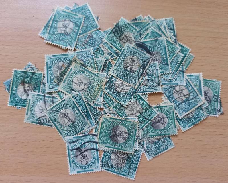 Collection of 89 used Springbok 1/2 d stamps unchecked - one bid for all