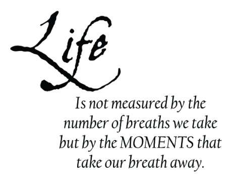 Life is not measured wall decal