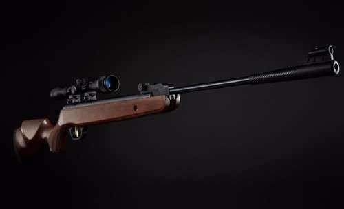 GS1250 5.5mm 800 - 900 fps. ONLY ONE AVAILABLE