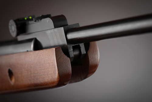 GS1250 5.5mm 800 - 900 fps. ONLY ONE AVAILABLE