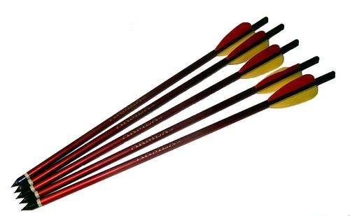 20" Crossbow Bolt x 5 (pack of 5 bolts)