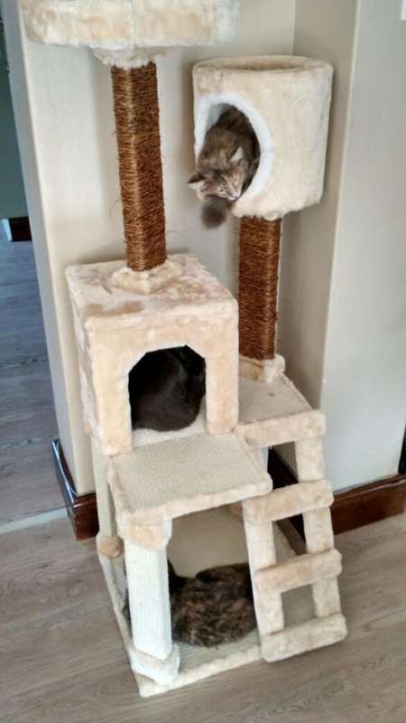 !!!!!Brand New Cat Condo!!! Highest Quality!!! Cream In Colour!!! Only 2 Available