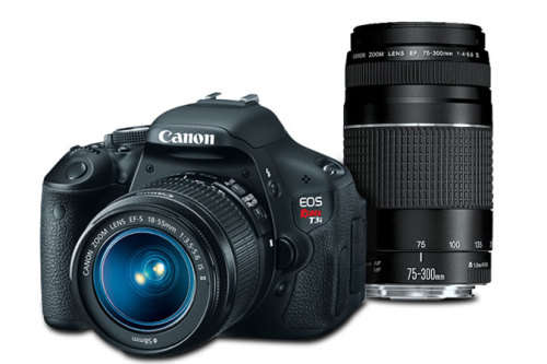 Canon EOS Rebel T3i (EOS 600D) Reflex Camera - 18MP - With two lenses and bag