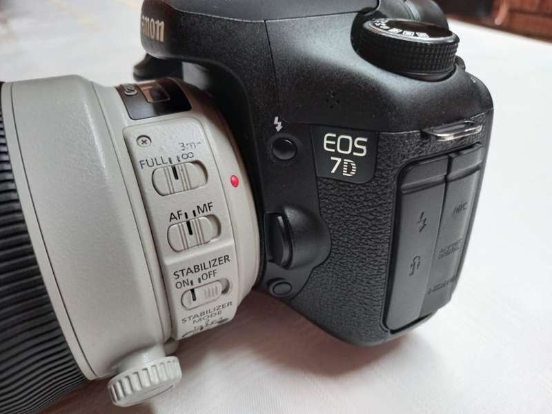 Canon 7D + Canon 100-400mm Mark II Lens + Free Tripod