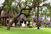Sabi River Sun, Main