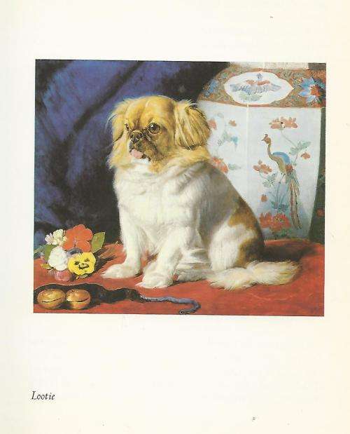 The Butterfly Lions. Pekingese dogs. Rumen Godden.
