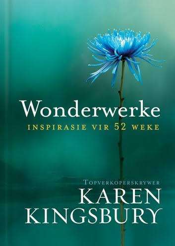 Wonderwerke - Karen Kingsbury.