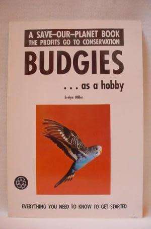 Budgies as a Hobby - Evelyn Miller.