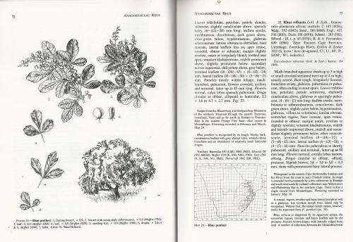 Flora of Southern Africa. Vol 19. Part 3: Anacardiaceae - RO Moffet.