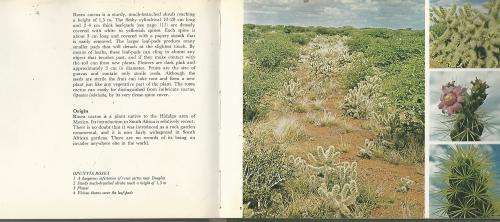 Plant Invaders. Beautiful but Dangerous.