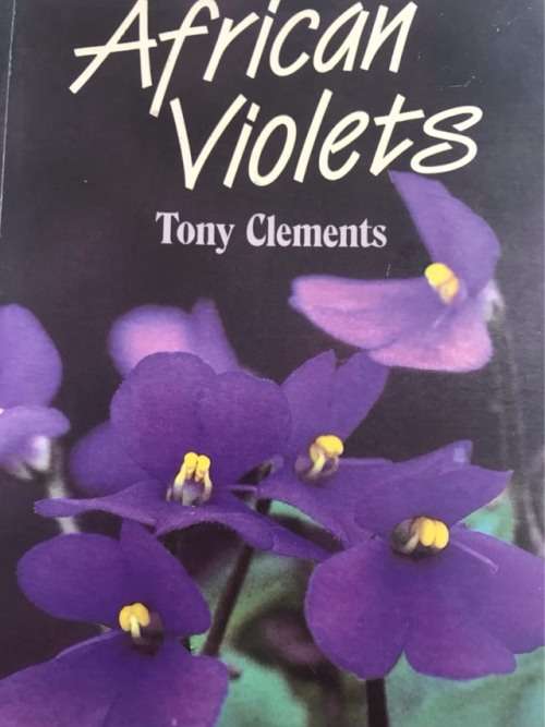 African Violets - Tony Clements.