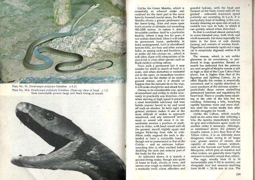 The Reptile Fauna of the Kruger National Park - U de V Pienaar.