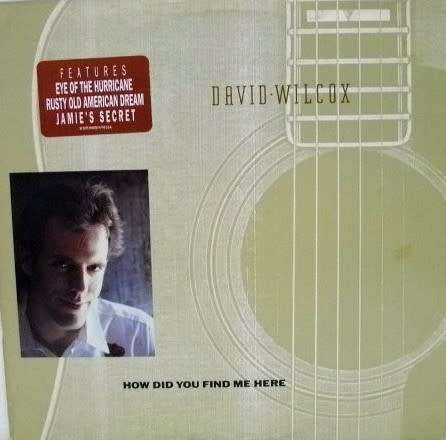 David Wilcox. How did you find me here. Vinyl LP. US import.  Rare.