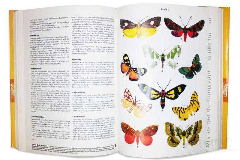INSECTS of Southern Africa - Clarke H Scholtz & Erik Holm. As new!