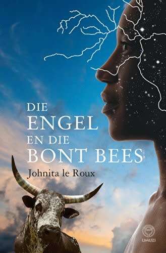 Die engel en die bont bees - Johnita le Roux.