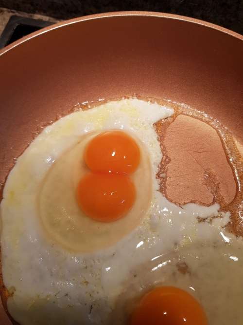 Eggs