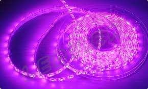 New 3528 Pink 5m 300led IP65 Waterproof SMD 60Leds/M Flexible Led Strip Lights