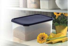 Tupperware Space Saver Rectangle (4L) RED