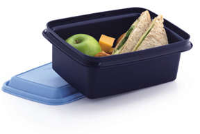 Tupperware Pack and Snack  LARGE LUNCH BOX also available in AQUA or MANGO