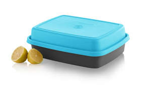 Tupperware Small Marinader