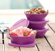 Tupperware Outdoor Dining Bowl Set (600ml x 4) NEW PURPLE COLOUR