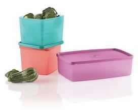 Tupperware large square rounds (800ml x 2) & Handy Diner 1.4L