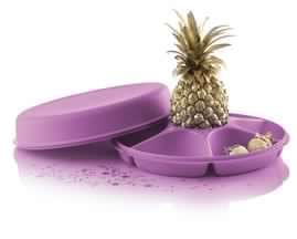 Tupperware Serving centre