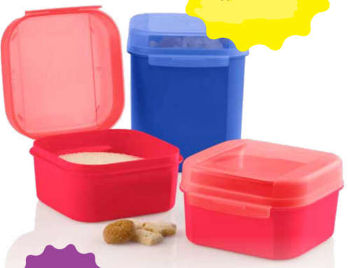 Tupperware mini signature line squares 450ml x 2