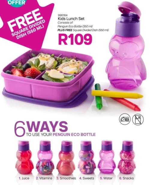 Tupperware Square divided dish & Penguin Eco 350ml flip cap bottle