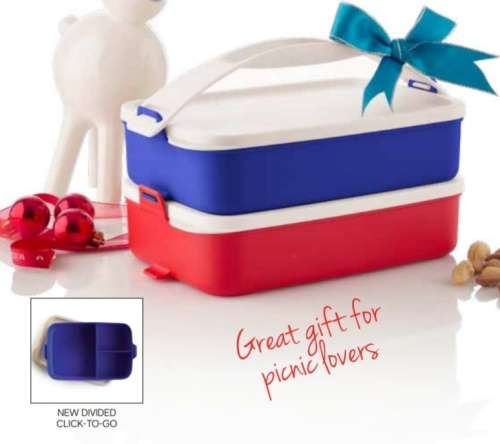 Tupperware Click-to-go Set with handle (900ml x 2)