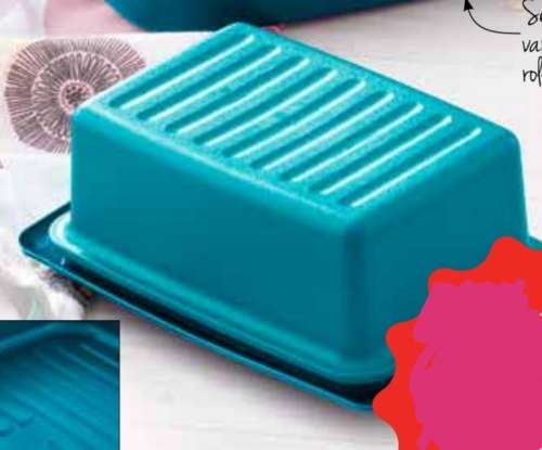 Tupperware Butter Dish