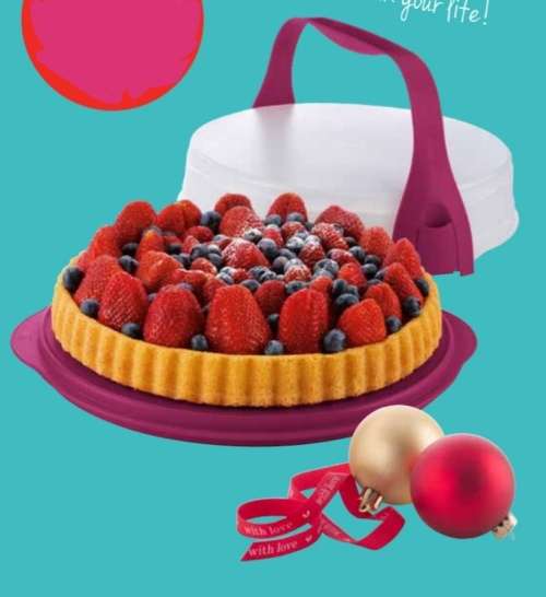 Tupperware Expressions Pie Taker