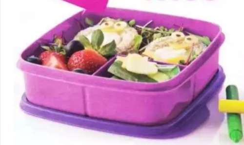Tupperware Square Divided Dish Set 550ML