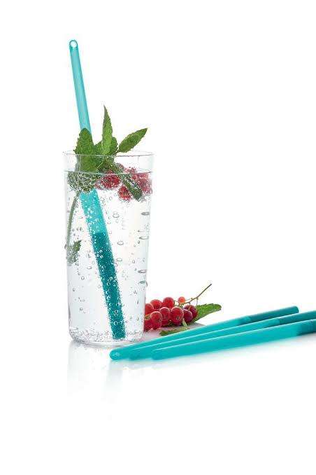 Tupperware Eco Straw short and long