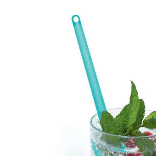 Tupperware Eco Straw short and long