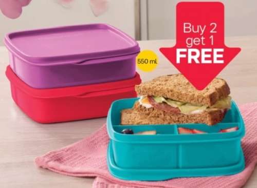 Tupperware Square Divided Dish Set 550ML x2 ASSORTED COLOURS