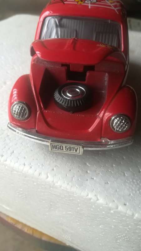 VW Beetle Lovley Spider