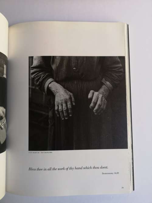 The Family Of Man Paperback  July 2, 2002