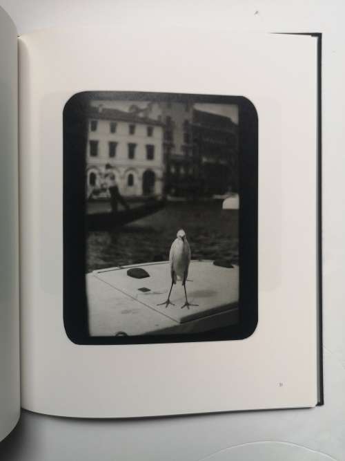 Giacomo Brunelli: The Animals