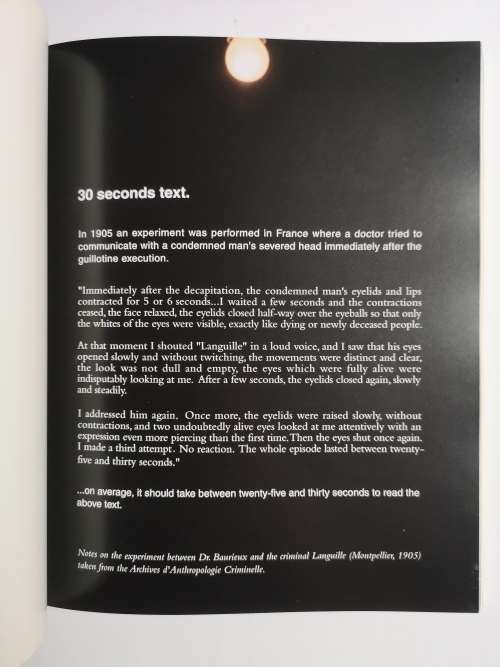 Searchlight: Consciousness at the Millennium Paperback