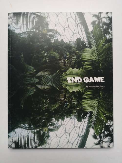 END GAME BY Michael Mcgarry