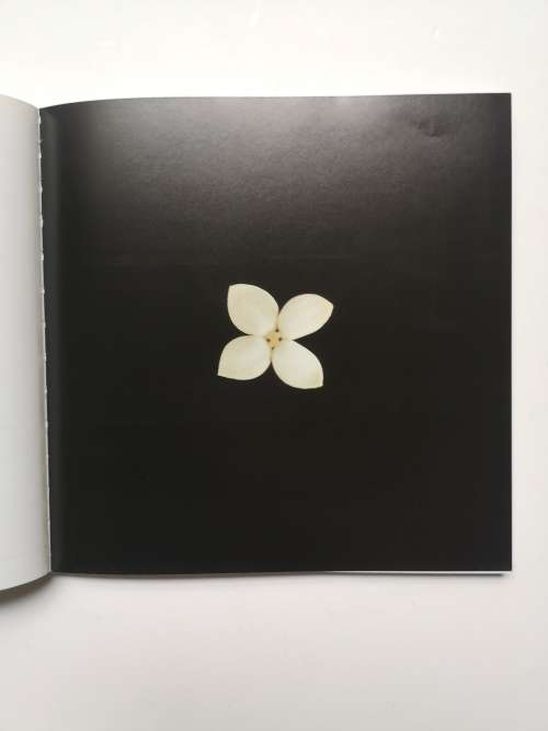 Flowers: Photographs by Kim Jung Man